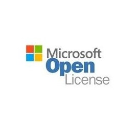 Open gobierno sql server standar 2019 olp nl lic electronica