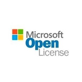Open business windows server standar 2019 16 lic core licsapk olp nl