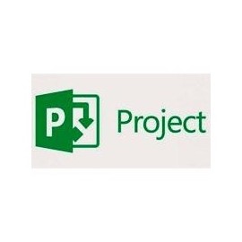 Open gobierno project pro 2019 w1prjct svr cal sngl olp nl