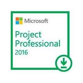 Open business project pro 2019 w1prjct svr cal sngl olp nl