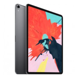 iPad Pro Apple MTEL2LZ/A 2,9 Wi-Fi 64 GB Gris espacial