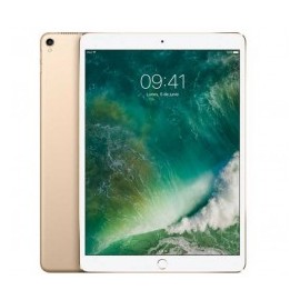 iPad Pro Apple MPHJ2CL/A Tec Cel Wi-Fi 256Gb LED 10.5" Oro