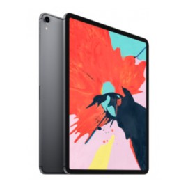 Ipad Pro Apple MTHV2LZ/A 2,9 Wi-Fi + Cellular 256 GB Gris espacial