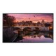 Samsung LH49QBREBGCXZA pantalla de señalización 124,5 cm (49") LED...