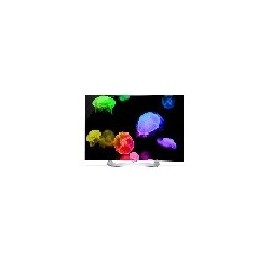 TV LG 55EG9100 Led 55" Curva SmartTv HDMI USB Ethernet