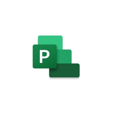 Microsoft Project Standard 2021 Completo 1 licencia(s) Plurilingüe